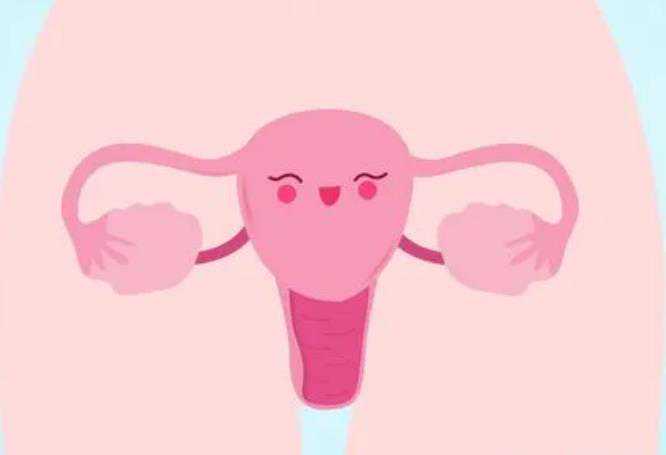 切除子宫还会怀孕_怀孕切除子宫息肉,包头卵巢早衰供卵能帮你，做供卵试管成