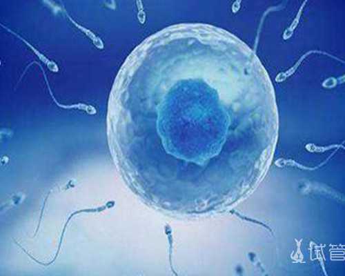 切除半个子宫怀孕_子宫切除怀孕吗,卵巢早衰能“供卵”吗？吉林洮南哪里做试