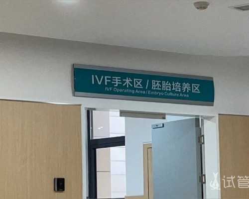 用蜻蜓做手抄报的制作方法大揭秘！