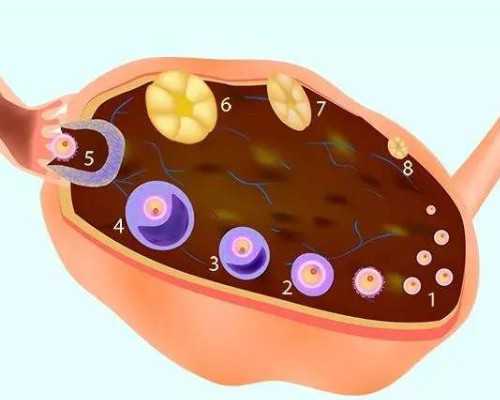 郑州在哪可以找到代孕妈妈|51岁乐山姐妹绝经还能做试管婴儿吗?更多的人还在