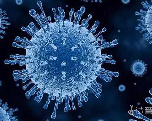 2026郑州供卵助孕机构排名公布附郑州最大的供卵机构详情_角子机单机下载