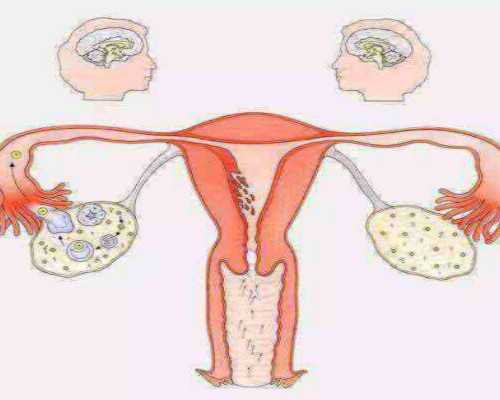 郑州急招供卵女孩,郑州试管婴儿多少钱啊在郑州做试管婴儿价格