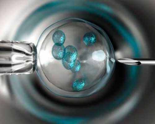 郑州代孕机构网址,郑州同性女生试管婴儿-正规助孕公司_试管果纳芬是进口药吗