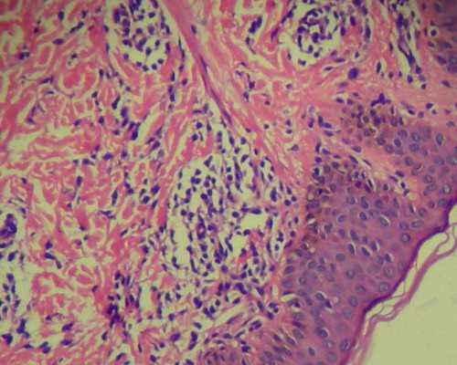 郑州代生付费方式,郑州运宝国际_上海天一助学官网_想生儿子可以做试管婴儿吗