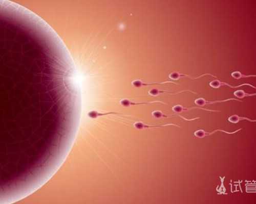 郑州高龄绝经供卵费用是多少,郑州供卵网站的服务流程