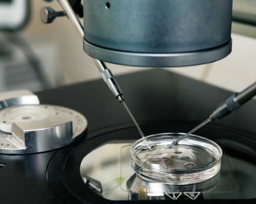 试管性染色体异常_流产的染色体异常,促排卵会不会导致卵巢早衰试管促排卵会