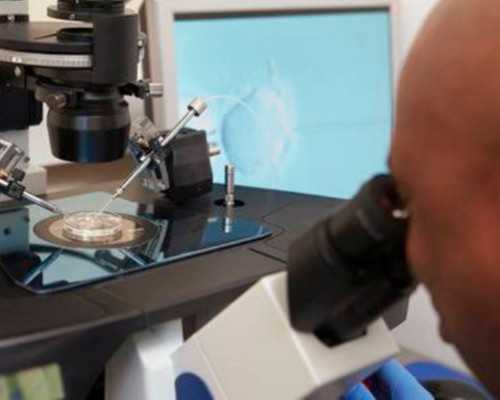 郑州供卵代生,北京供卵试管包成功(郑州试管供卵)