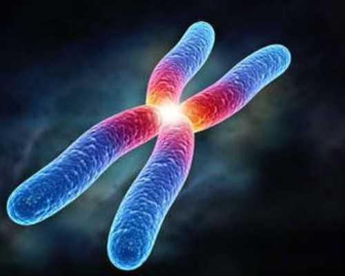 郑州靠谱供卵代怀中介,郑州三附院试管名单(郑州三附院试管王兴玲)