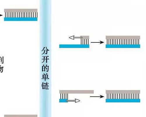 ＂女性健康管理部门工作职责解析＂
