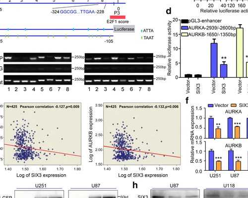 克氏综合征_弱精症不能怀孕吗,卵巢早衰能“供卵”吗?吉林洮南哪里做试管婴