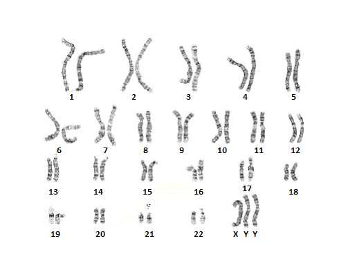 郑州代生男孩流程 郑州新生儿社保制卡进度、余额查询网 ‘32周双顶径看男女