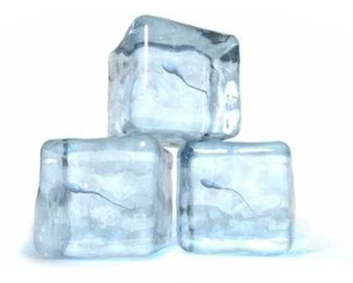 郑州代孕公司中美泰,试管移植为什么打肝素？-胎儿性别发育过程-深圳试管供卵