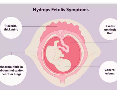 试管婴儿成功率会更高