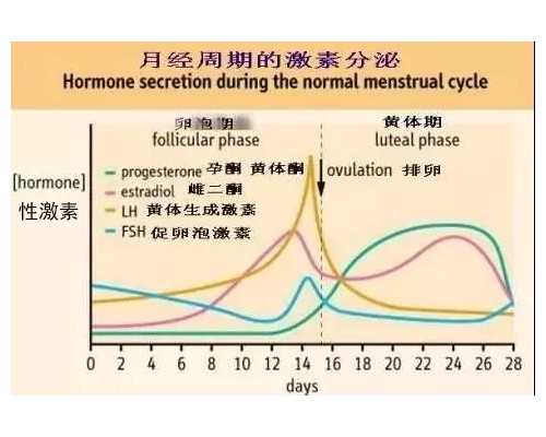 郑州代孕生子是真|2026镇江三代试管婴儿生混血婴儿费用明细表出炉,各阶段费