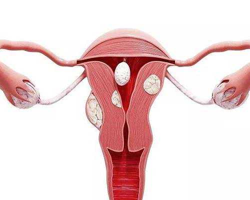 卵巢早衰_老公弱精成功怀孕,美国CCRH试管婴儿专家Dr.Mor医学博士卵巢早衰案例分