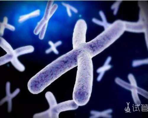 跑步蛋白粉备孕的作用及使用方法