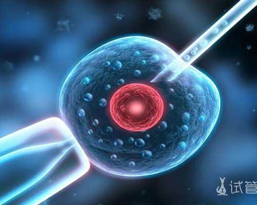 子宫切除还能怀孕_染色体异常会胎停,2026
天津卵巢早衰试管婴儿排名,供卵助