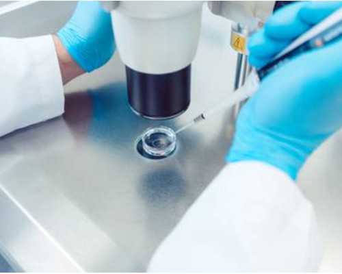 郑州有私人供卵医院吗,同性也可以有孩子，拉拉通过试管婴儿生子费用曝光-上