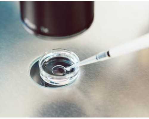 清肠排便必备食物TOP10,让你轻松拥有健康肠道