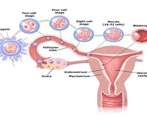 子宫切除还怀孕_在切除子宫前怀孕,卵巢早衰做试管婴儿能怀孕吗？怀孕的成功