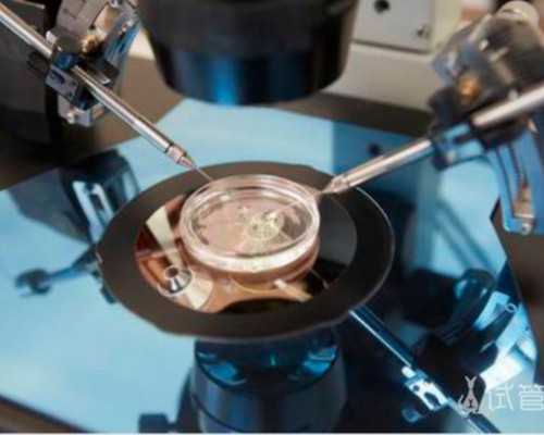 郑州50岁还可以代孕吗|茂名三代试管包生男孩茂名三代试管包生男孩价格