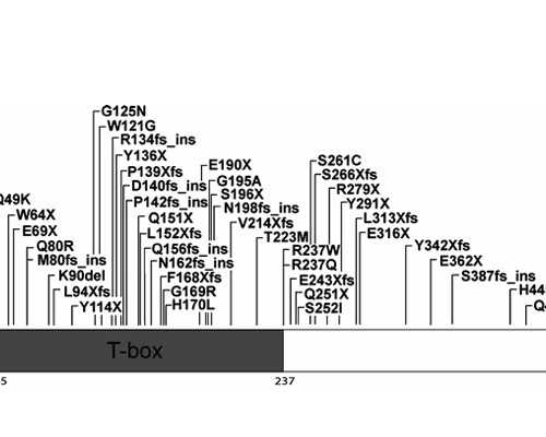 郑州代孕网的流程,试管婴儿失败后多久能在取卵移植-上海供卵试管公司有哪些