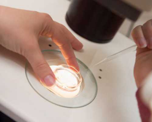 郑州请问代孕是人工|2026
浙江省台州医院试管婴儿成功率一览，附试管婴儿费用