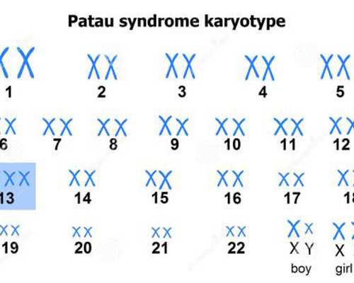 郑州供卵试管生男孩在哪里,郑州助孕公司-郑州三代试管医院