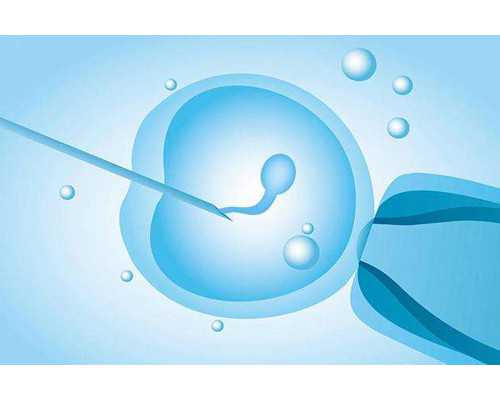 郑州供卵试管有什么要求吗,郑州助孕公司-郑州三代试管医院