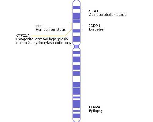 什么叫仙人跳(请问什么叫仙人跳)
