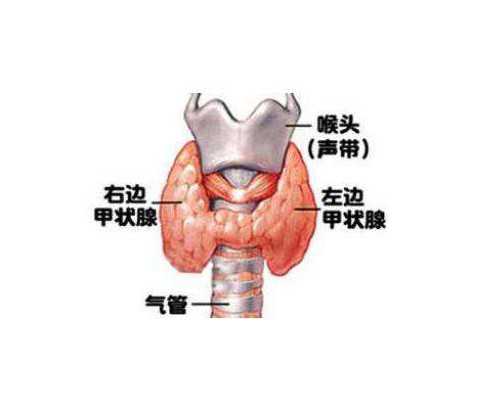 郑州代孕生宝宝捐卵供卵|丽水供卵三代试管婴儿多少钱附2026最新出炉供卵三代