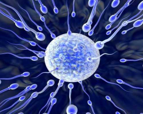 郑州求供卵,2026年在郑州做试管婴儿费用多少钱（附费用明细）