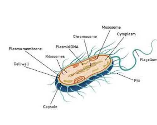 试管染色体异常高_子宫切除还能生育,北京卵巢早衰最权威医院哪家好,武汉供