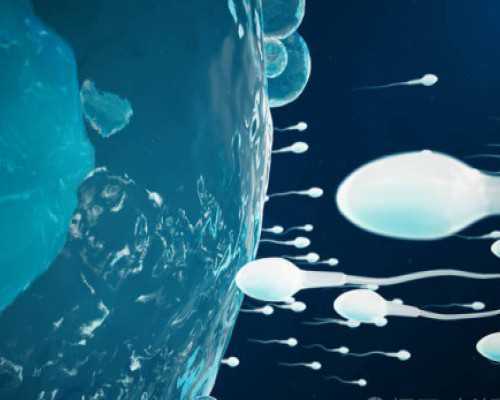 郑州供卵代怀医院,郑州石女供卵代怀包男孩价位