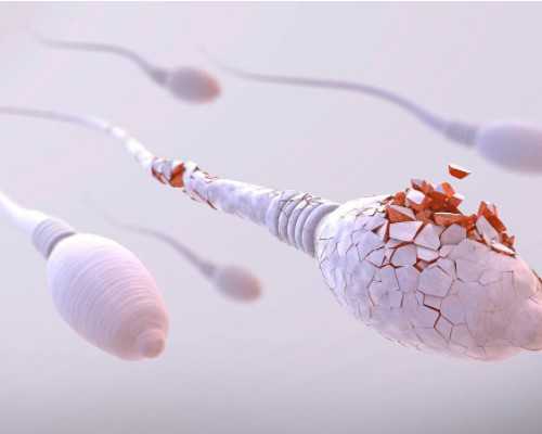 郑州代孕一共需要花多少钱|太原供卵试管婴儿排名，2026年已更新|太原试管婴儿