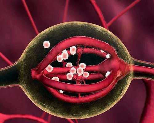 郑州三代助孕医院,郑州三代试管助孕生子-郑州辅助生殖中心