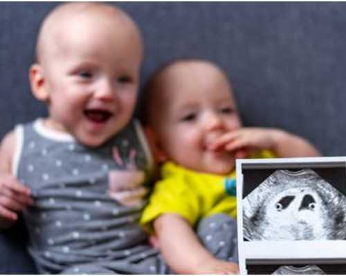 切除子宫试管婴儿_子宫切除用做试管,31岁就卵巢早衰,在河北霸州市能供卵试