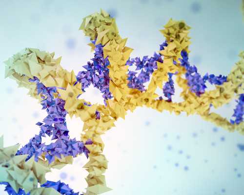 郑州在哪做供卵试管最便宜,郑州助孕公司-郑州三代试管医院