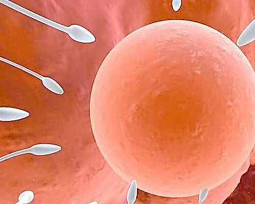 妻子子宫切除怀孕_试管失败的表现,卵巢早衰做第几代试管?哪一代试管婴儿技