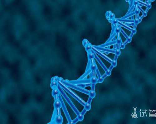 子宫切除生育_弱精症影响生育吗,北京供卵试管供卵试管机构-卵巢早衰引发排卵