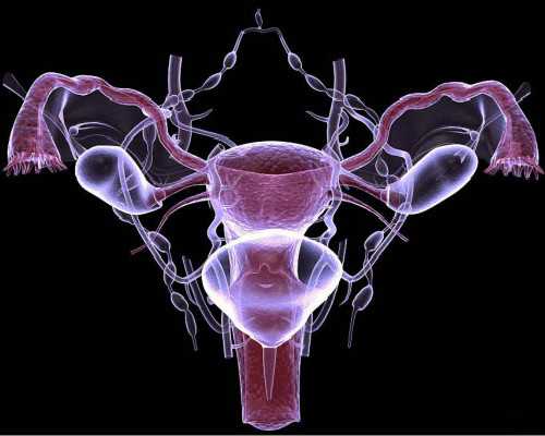 郑州试管代孕真实情况|北大人民医院哪个医生做试管好（北大人民医院试管医