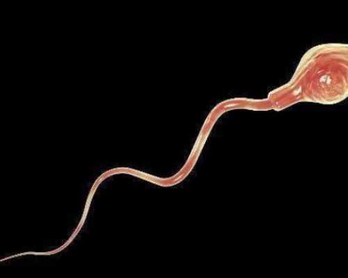 郑州借卵自怀,郑州三代试管婴儿技术如何解决生育难题？