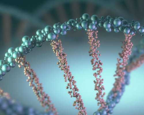 郑州供卵代生男孩包儿子,河南郑州供卵试管多少钱（郑州供卵费用）